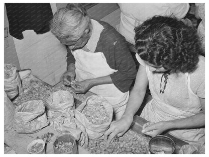 Pecan Shelling Workers in San Antonio Texas March 1939