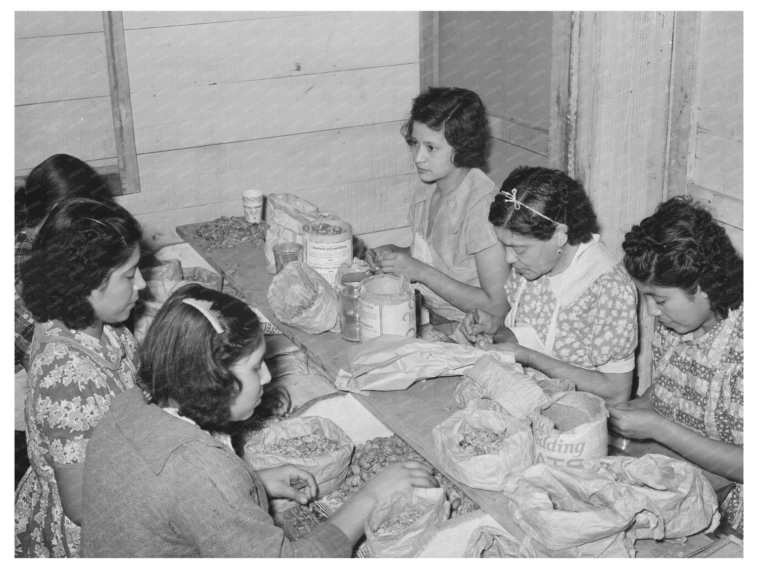 Mexican Women Shelling Pecans in San Antonio 1939