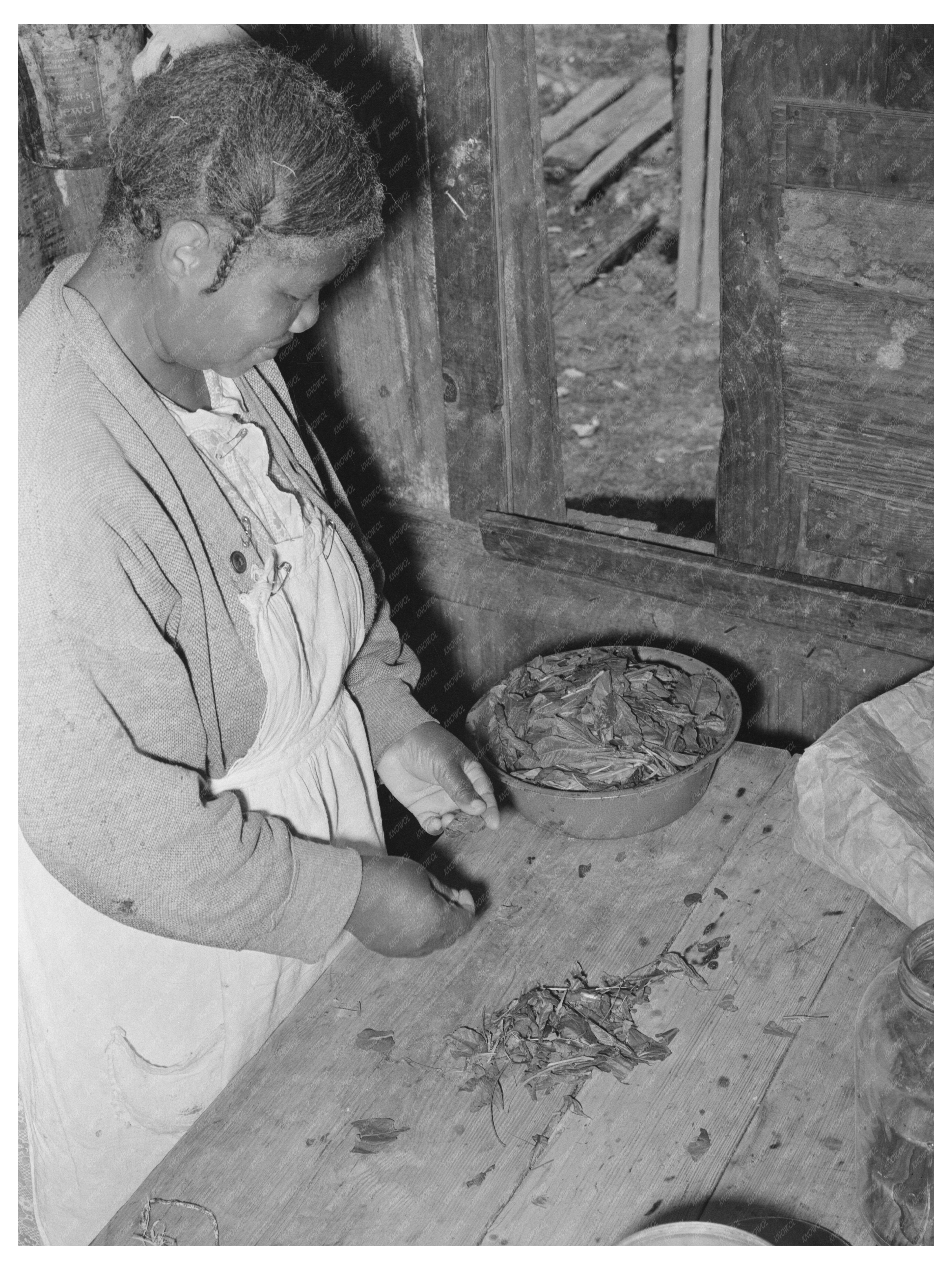 Woman Preparing Poke Salad in Marshall Texas 1939