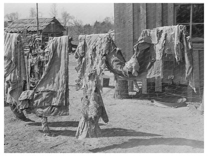 Quilts by Relief Family in Jefferson Texas March 1939
