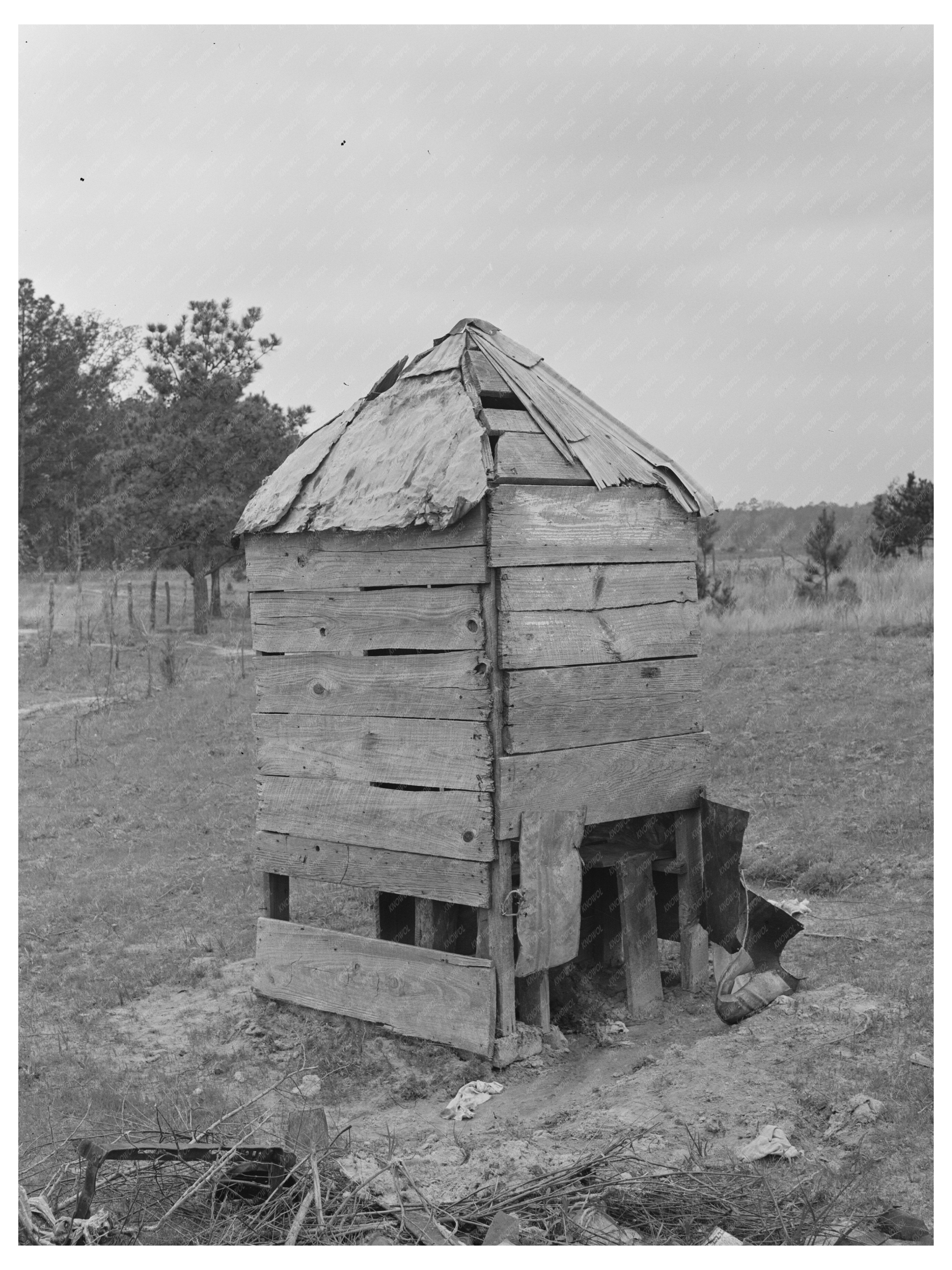 Vintage Privy Near Sharecropper Residence Marshall Texas 1939