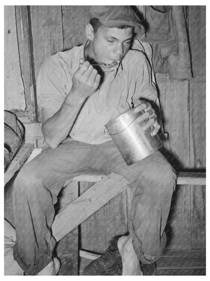 Strawberry Worker Eating Strawberries Hammond Louisiana 1939