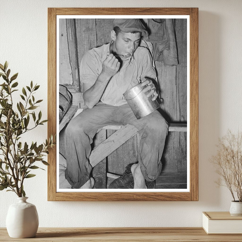 Strawberry Worker Eating Strawberries Hammond Louisiana 1939