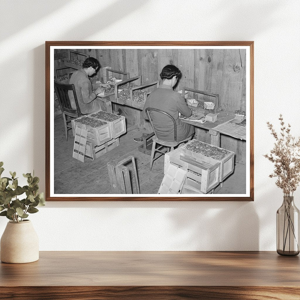 Strawberry Pickers Packing Fruit Louisiana April 1939