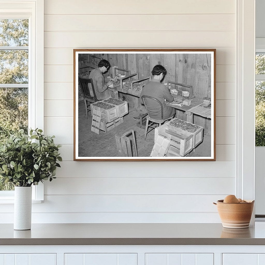 Strawberry Pickers Packing Fruit Louisiana April 1939