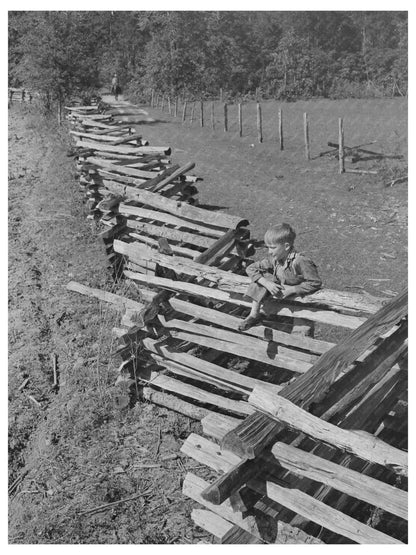 Vintage Rail Fence on Texas Farm April 1939