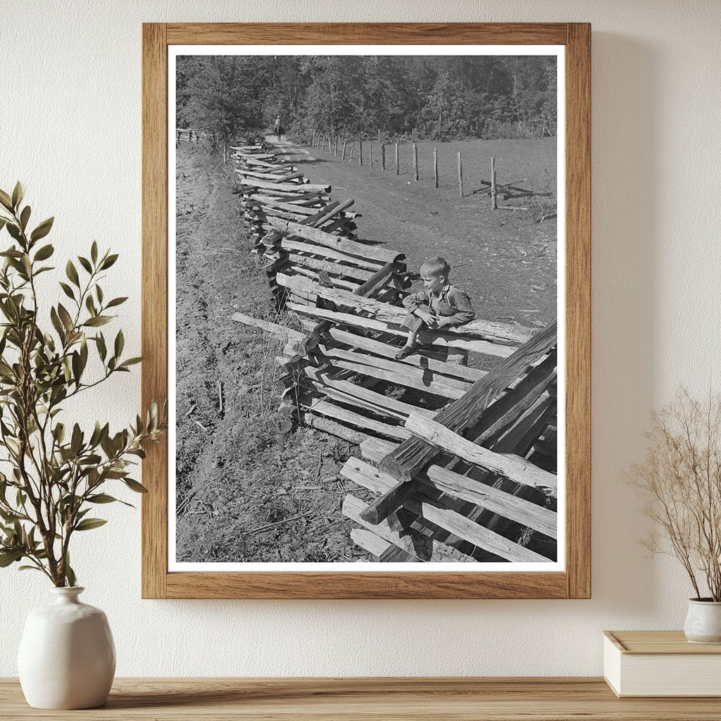 Vintage Rail Fence on Texas Farm April 1939