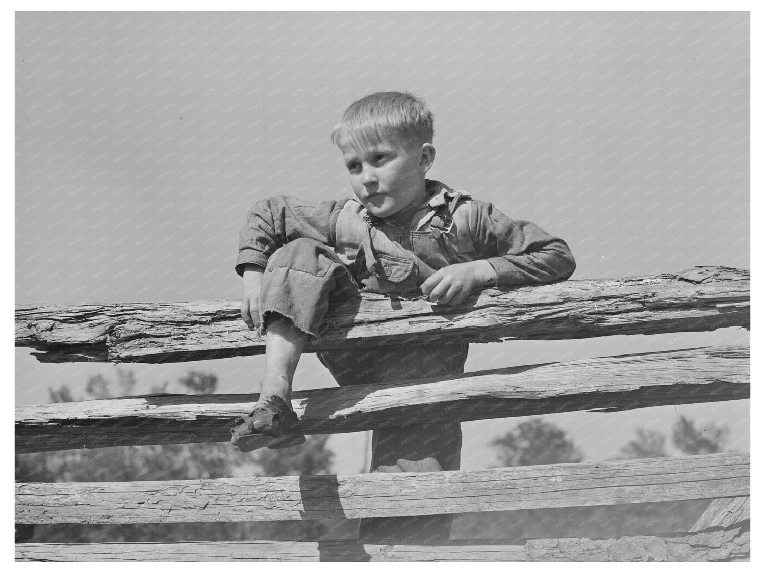 Farm Boy Resting on Fence San Augustine Texas 1939