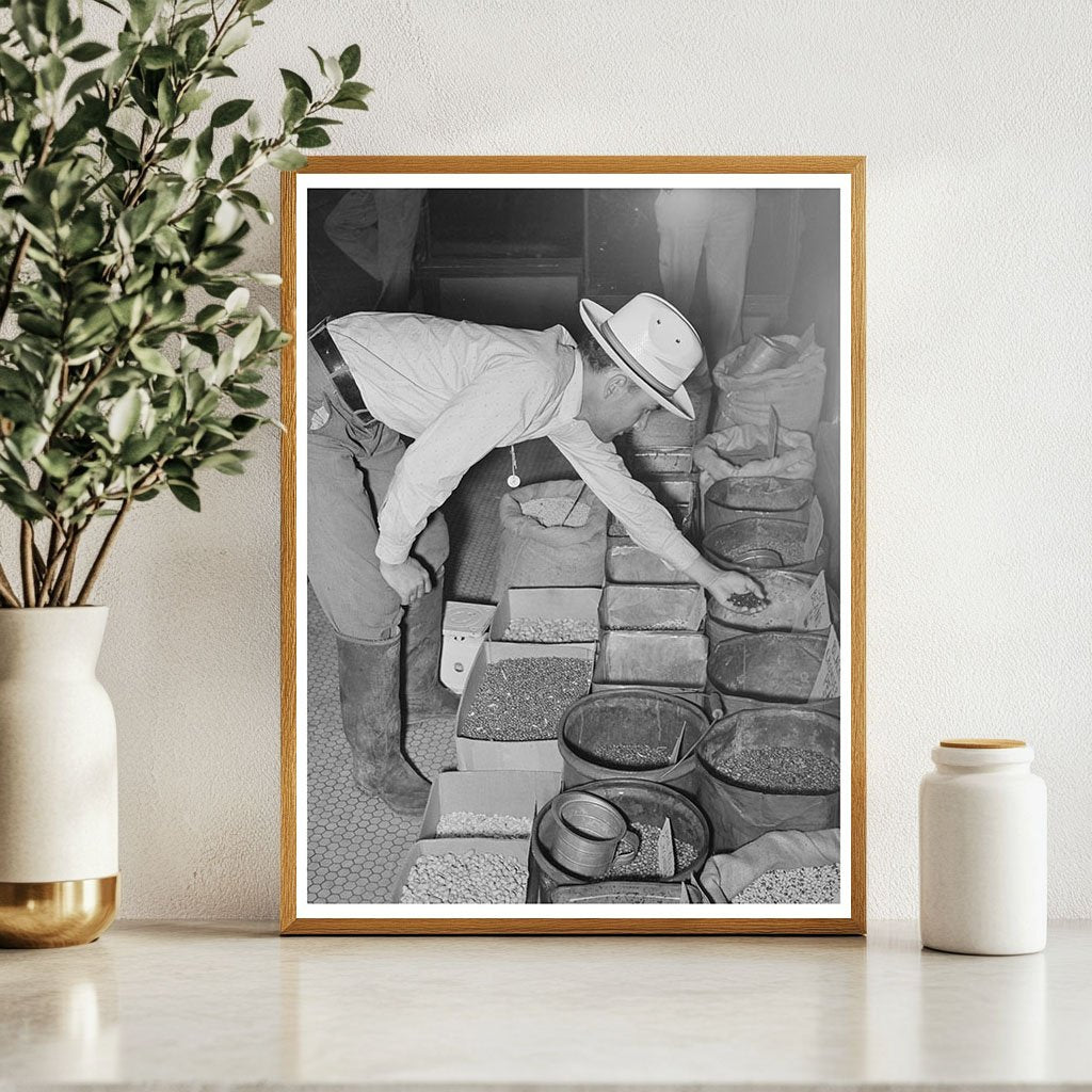 Farmer Examines Seeds in San Augustine Texas 1939