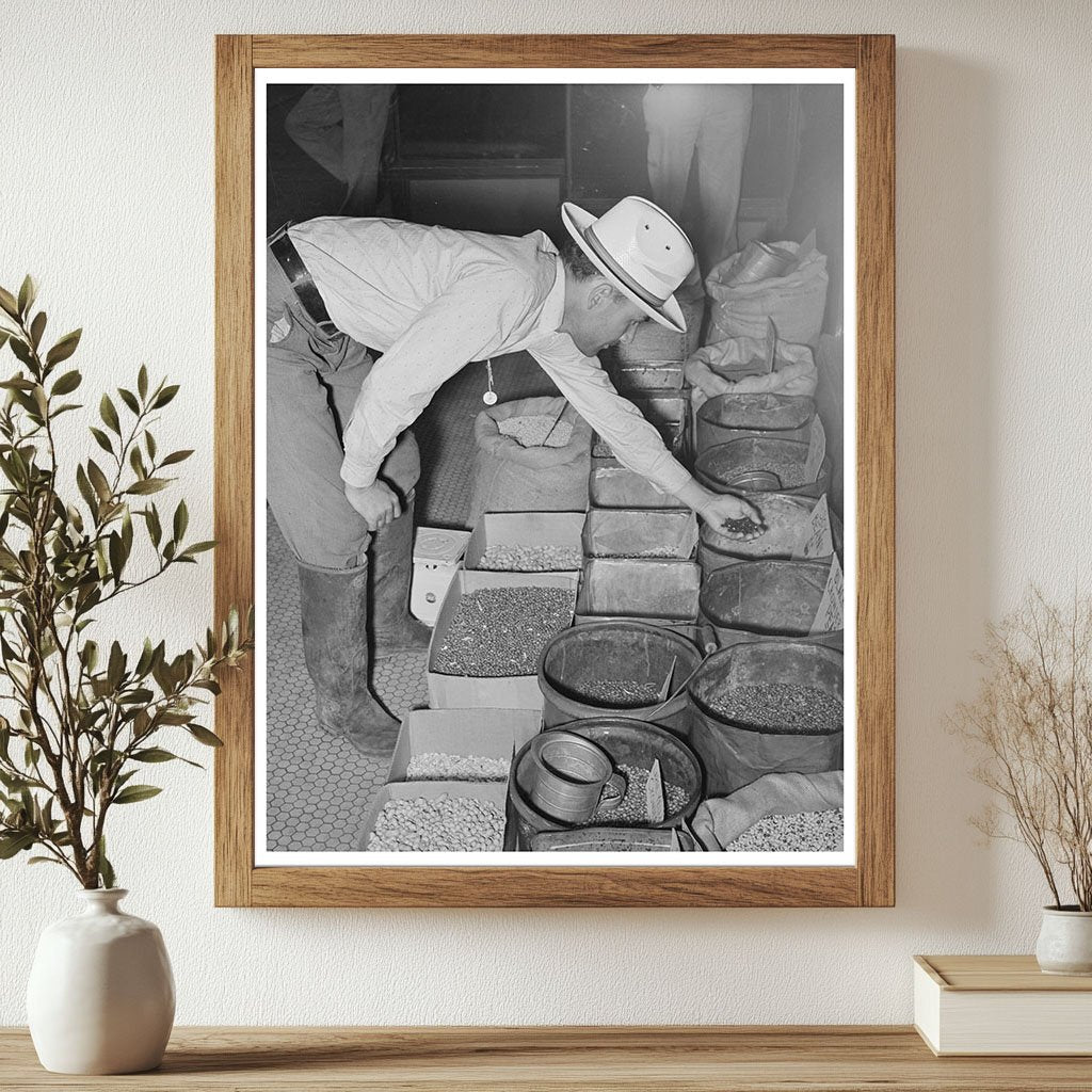 Farmer Examines Seeds in San Augustine Texas 1939