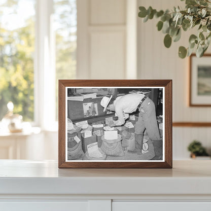 Farmer Examining Pea Seed in San Augustine Texas 1939
