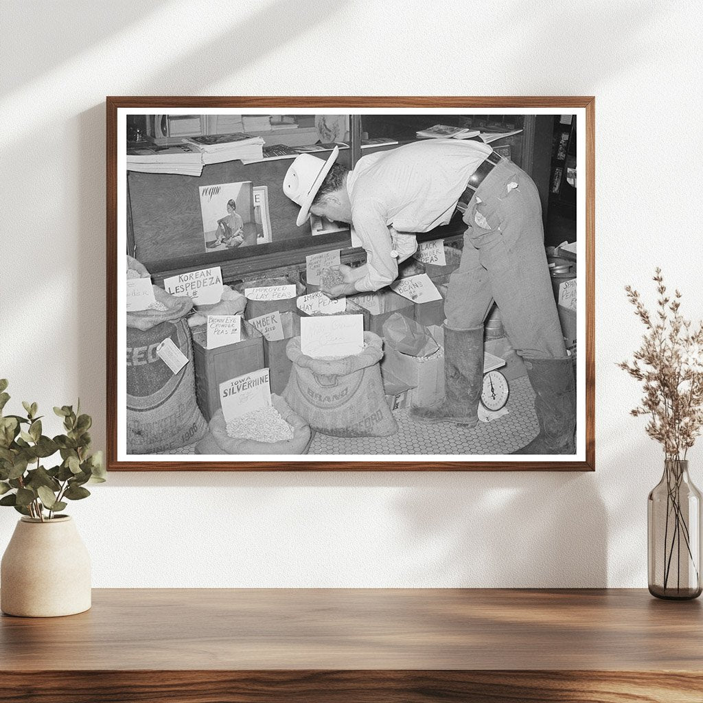 Farmer Examining Pea Seed in San Augustine Texas 1939