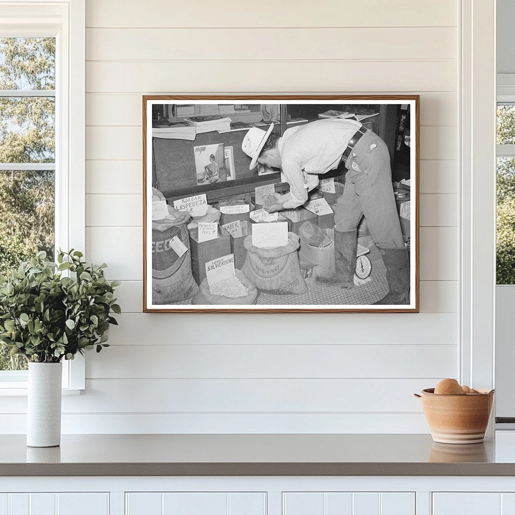 Farmer Examining Pea Seed in San Augustine Texas 1939
