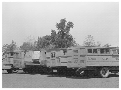 Vintage 1939 School Buses in Wells Texas