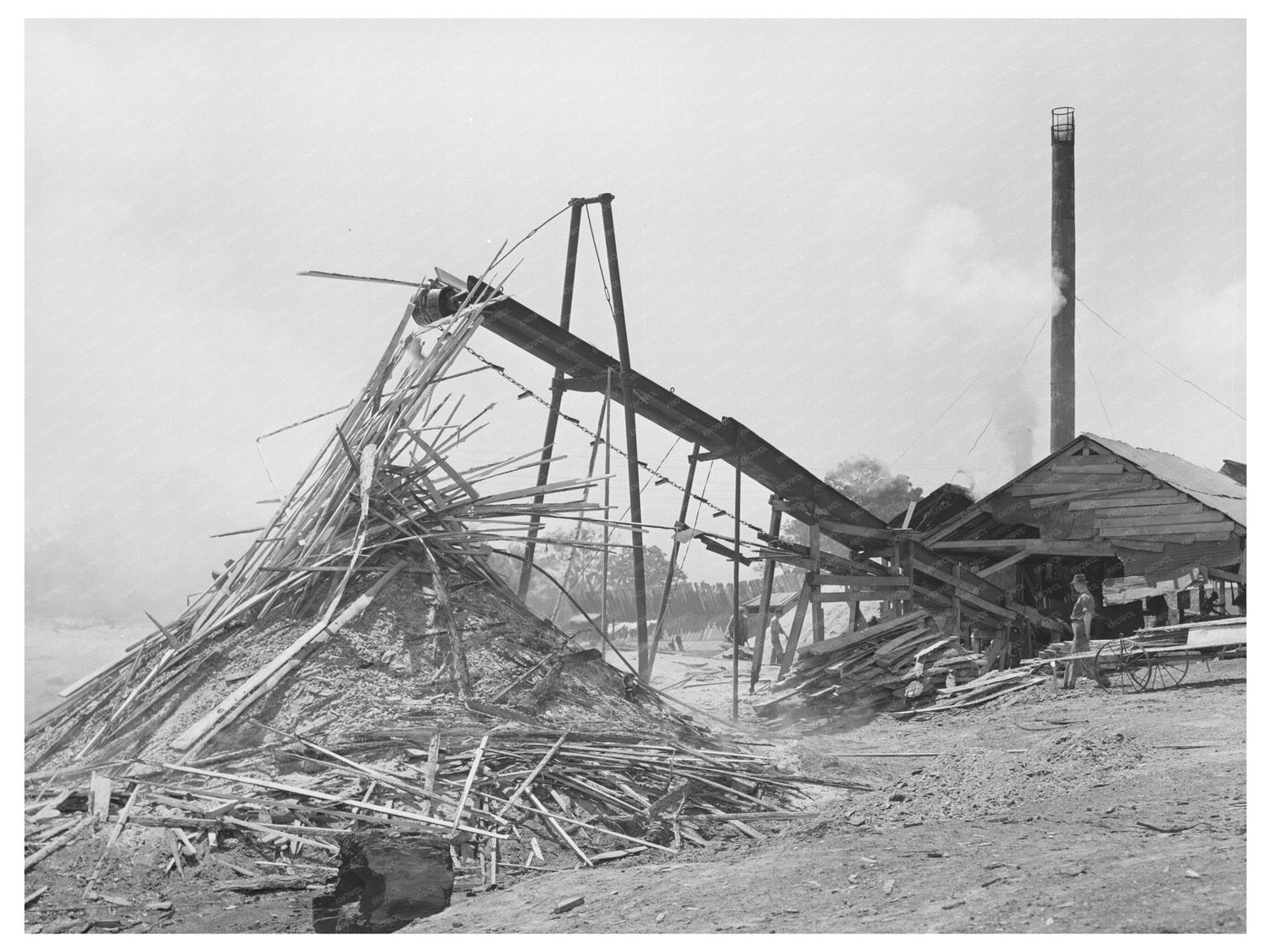 Sawmill in Wells Texas April 1939 Waste Lumber Burning
