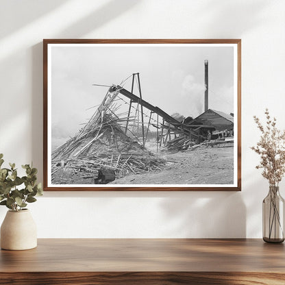 Sawmill in Wells Texas April 1939 Waste Lumber Burning