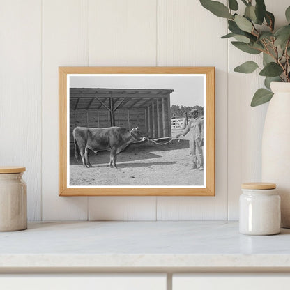 Community Bull at Sabine Farms Marshall Texas 1939