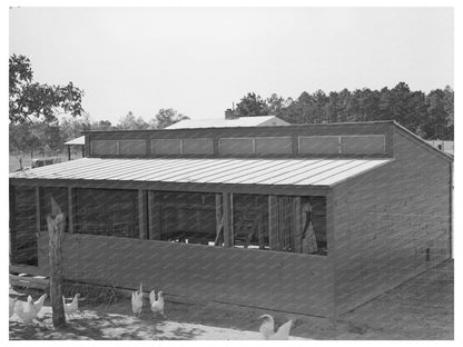 Vintage Chicken House Sabine Farms Marshall Texas 1939