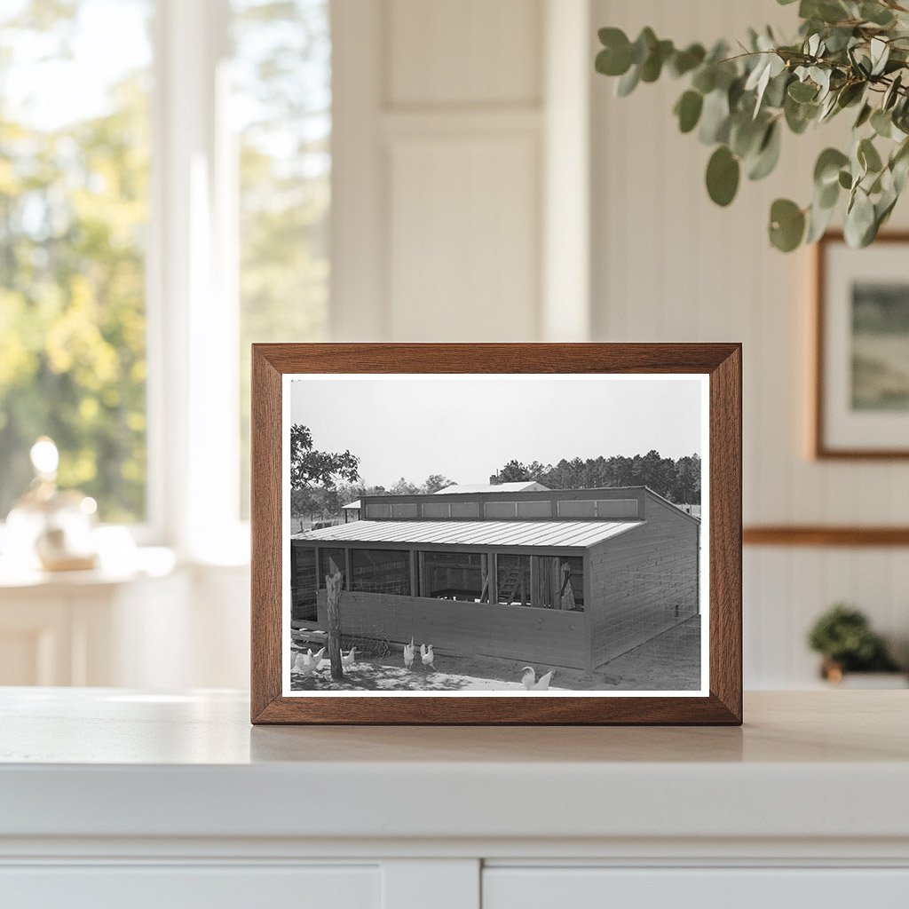 Vintage Chicken House Sabine Farms Marshall Texas 1939