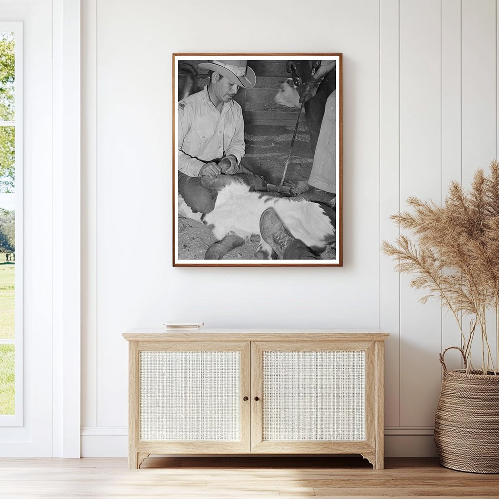 Calf Branding at Walking X Ranch Marfa Texas 1939