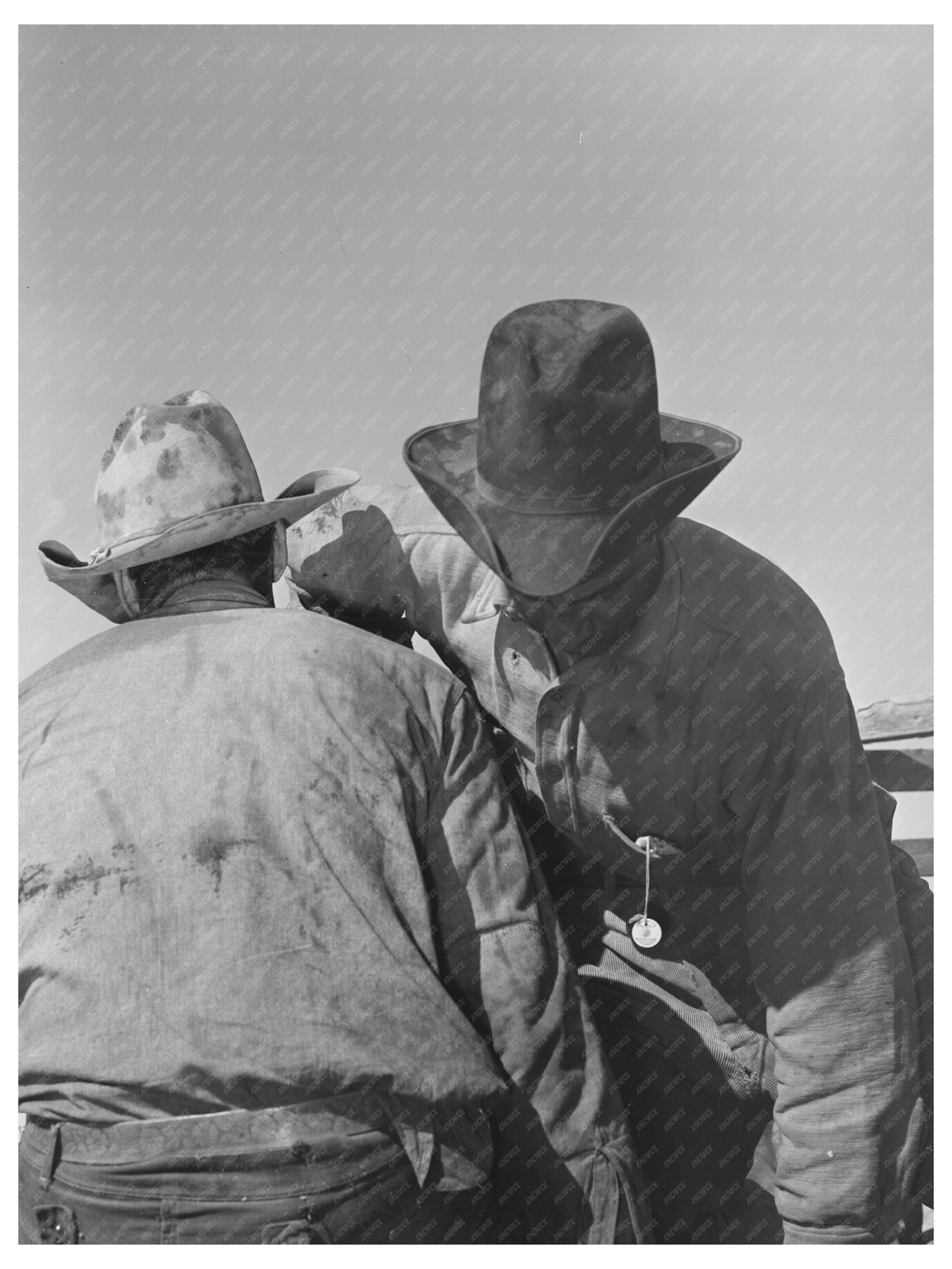 Mexican Boys Branding Calf on Texas Ranch May 1939