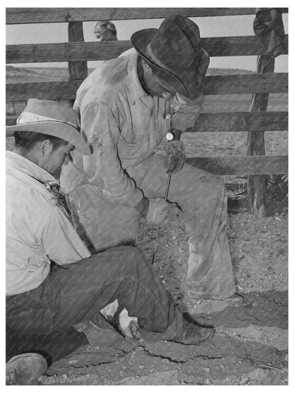 Mexican Boys Branding Calf at Walking X Ranch 1939