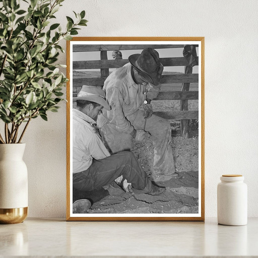 Mexican Boys Branding Calf at Walking X Ranch 1939