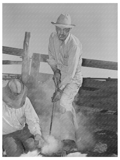 Walking X Ranch Branding Calf Marfa Texas 1939