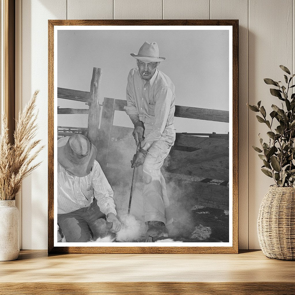 Walking X Ranch Branding Calf Marfa Texas May 1939