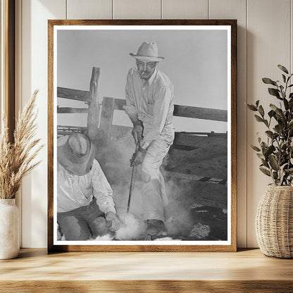 Walking X Ranch Branding Calf Marfa Texas May 1939