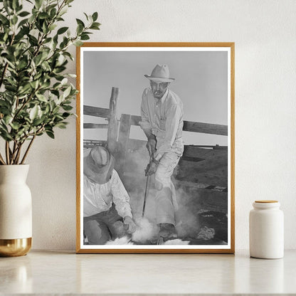 Walking X Ranch Branding Calf Marfa Texas 1939