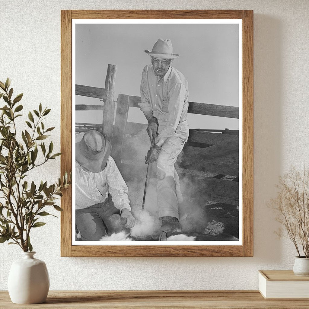 Walking X Ranch Branding Calf Marfa Texas 1939