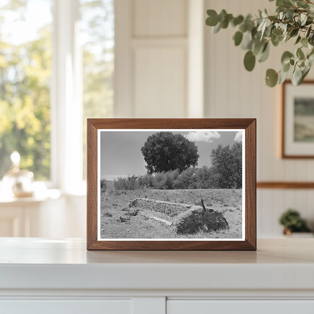 Vintage Feed Trough on Marfa Ranch Texas May 1939
