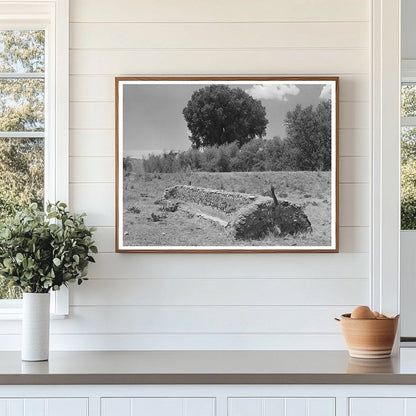 Vintage Feed Trough on Marfa Ranch Texas May 1939