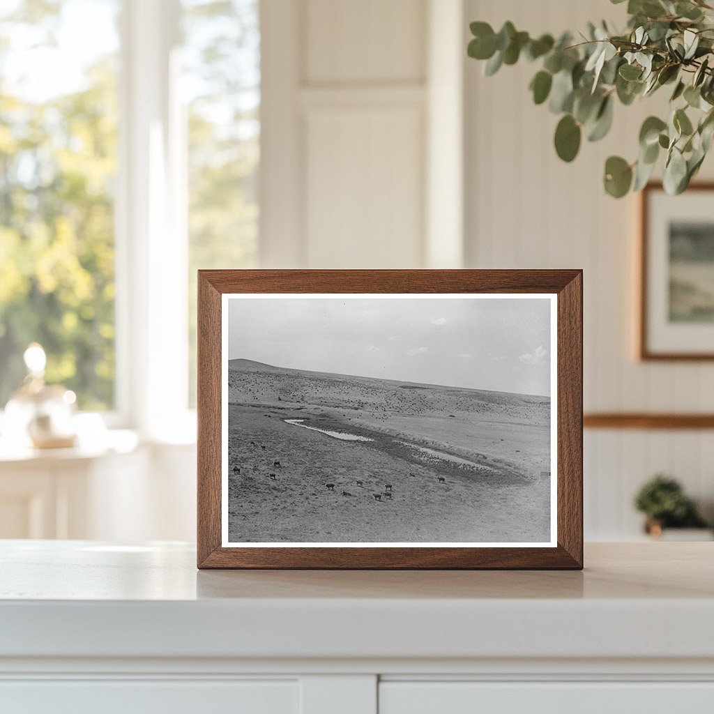 Vintage Water Dam and Waterhole Walking X Ranch 1939