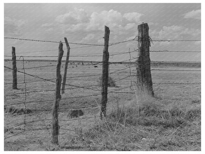 Fence Construction at Walking X Ranch Marfa Texas 1939
