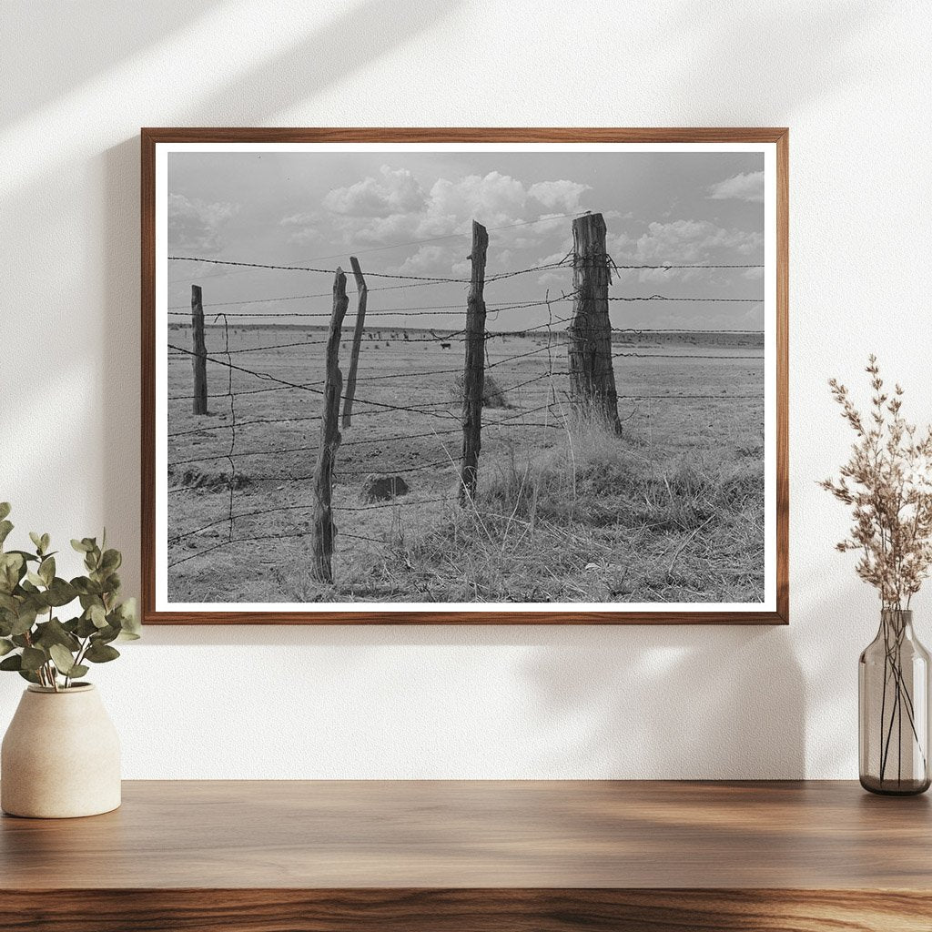 Fence Construction at Walking X Ranch Marfa Texas 1939