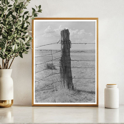 Barbed Wire Fence at Walking X Ranch Marfa Texas 1939