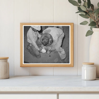 Cattle Ranching at Walking X Ranch Marfa Texas 1939