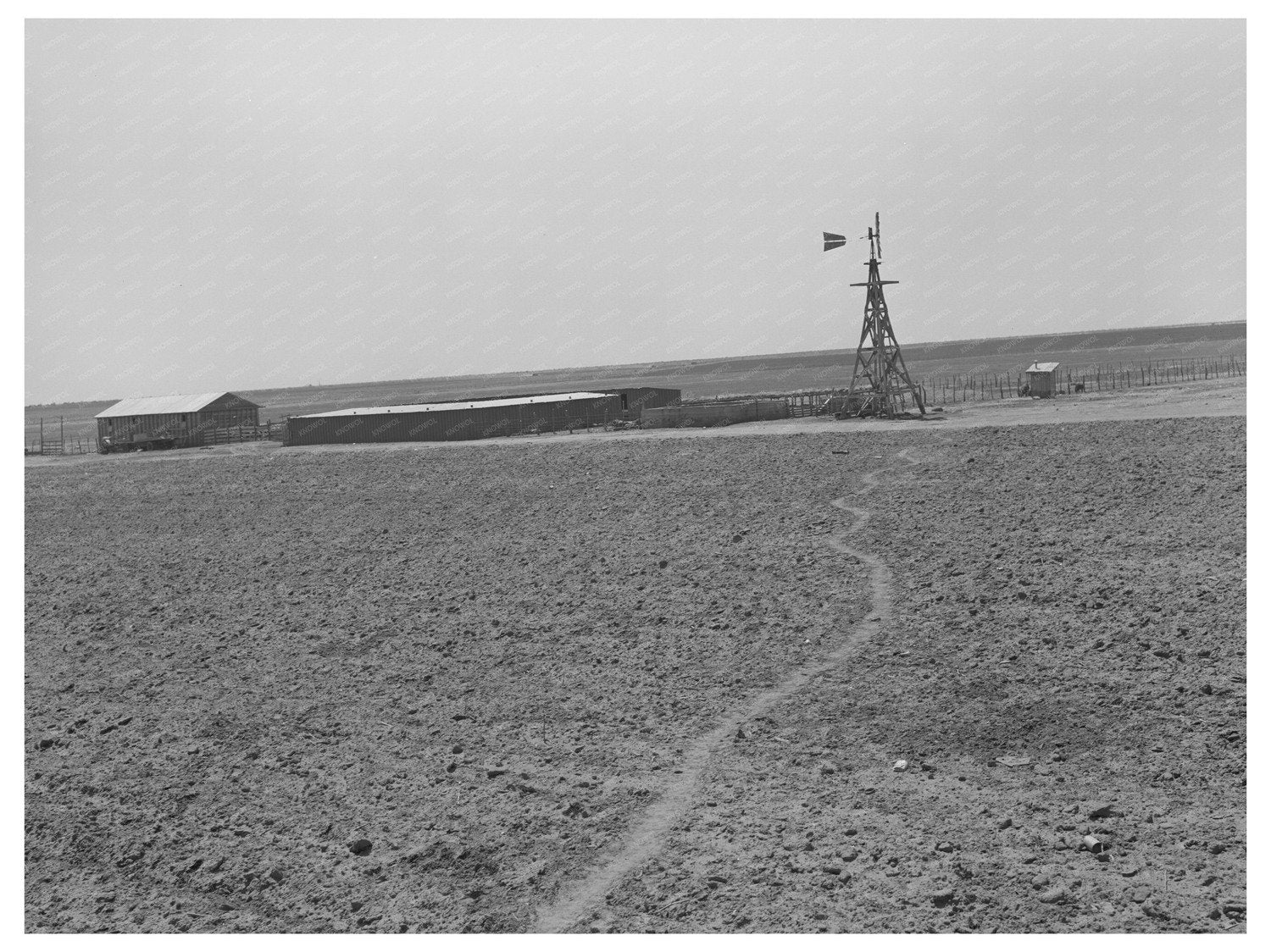 Vintage 1939 Texas Farm Windmill and Hog Pen Image