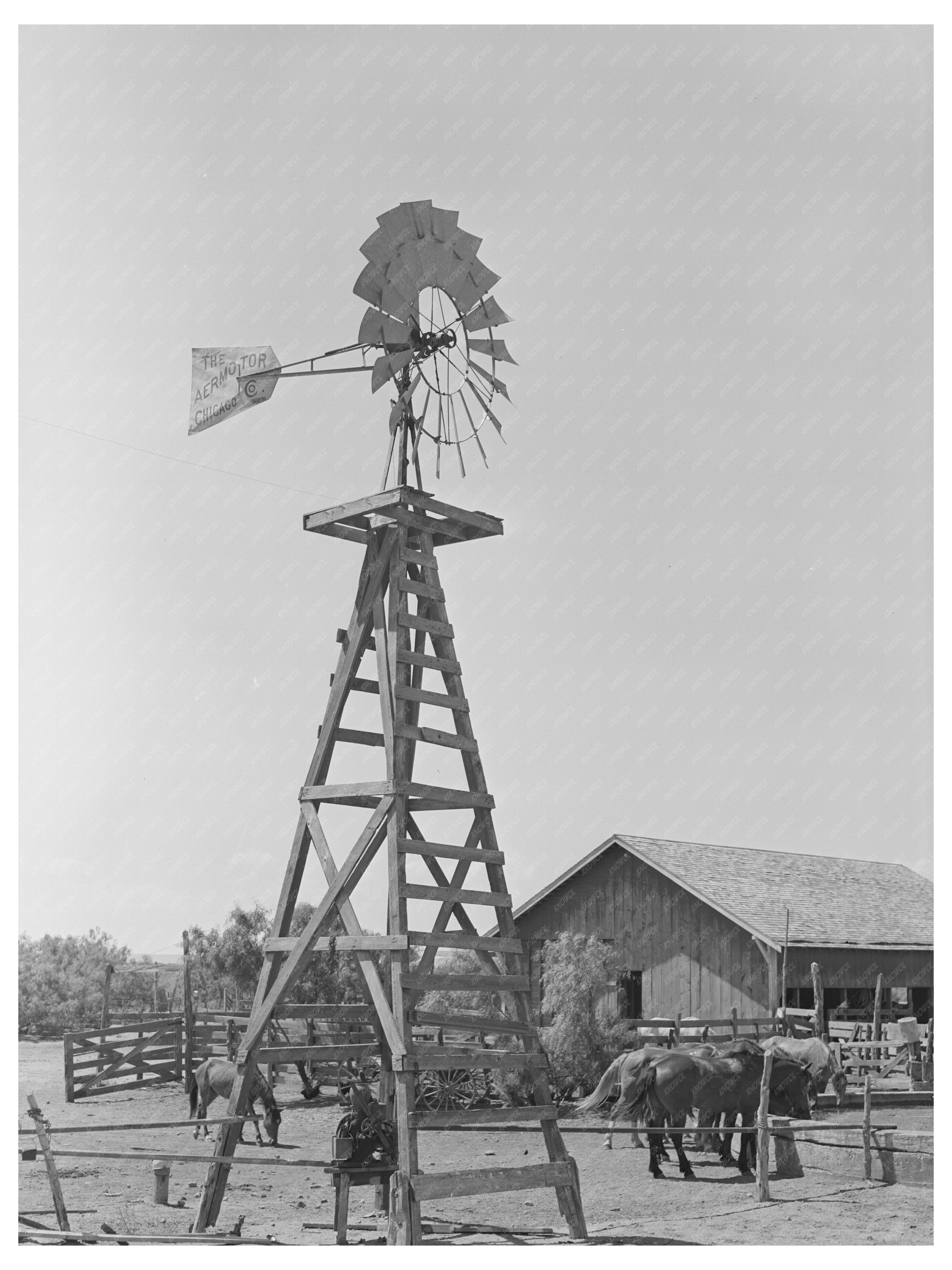 Vintage 1939 Texas Ranch with Windmill and Barn