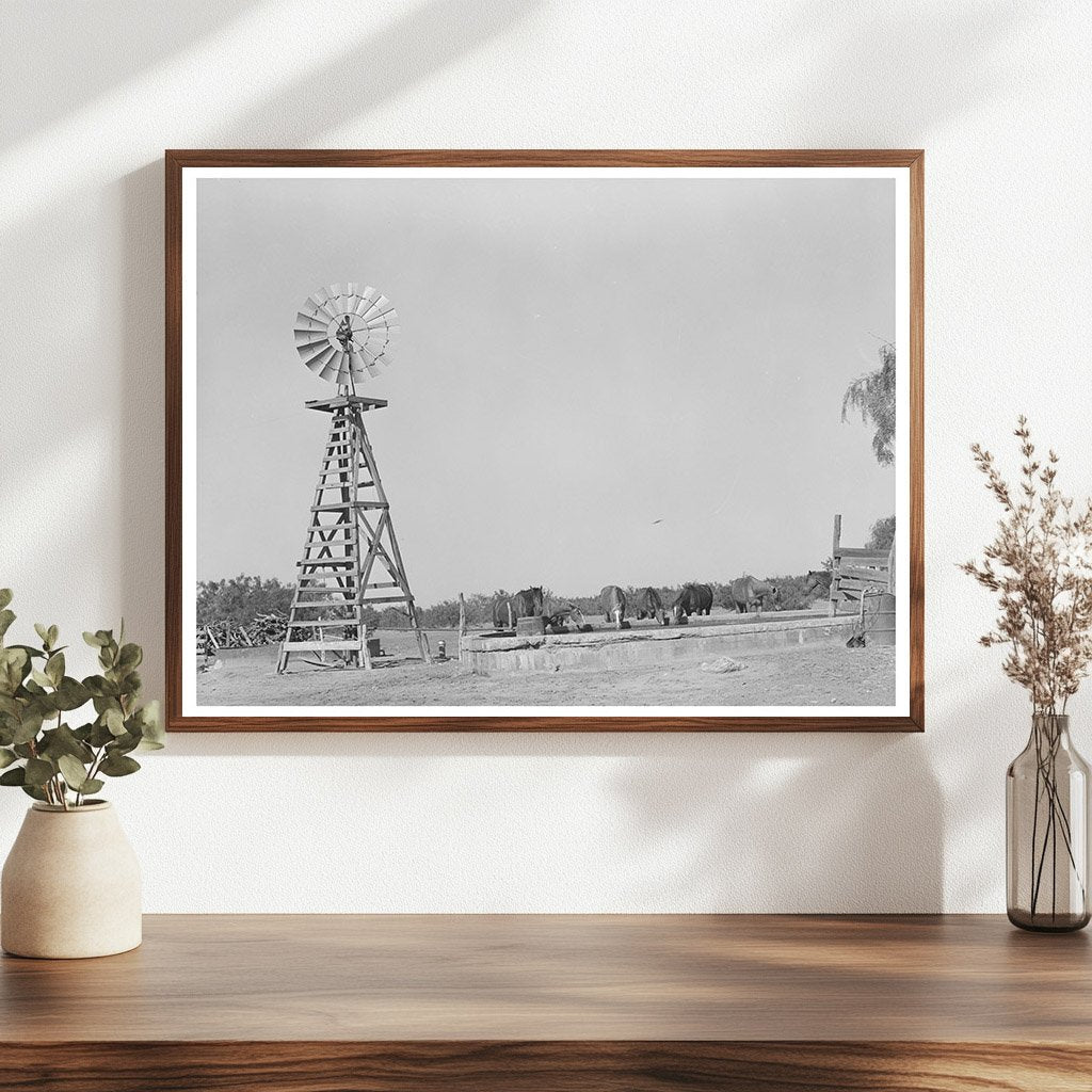 Windmill and Watering Trough at SMS Ranch Texas 1939