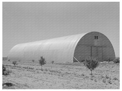 Feed Barn on 4900 Acre Farm Ralls Texas May 1939