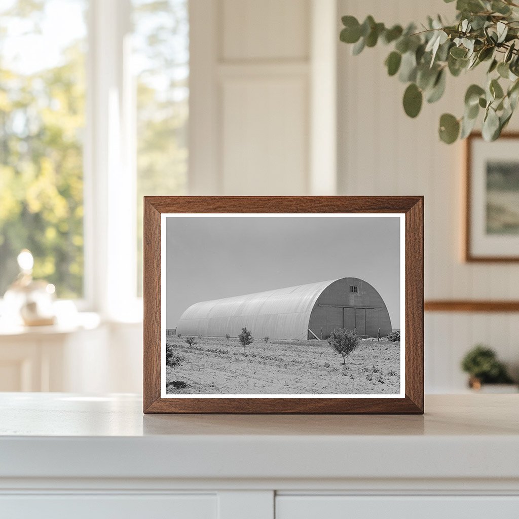Feed Barn on 4900 Acre Farm Ralls Texas May 1939