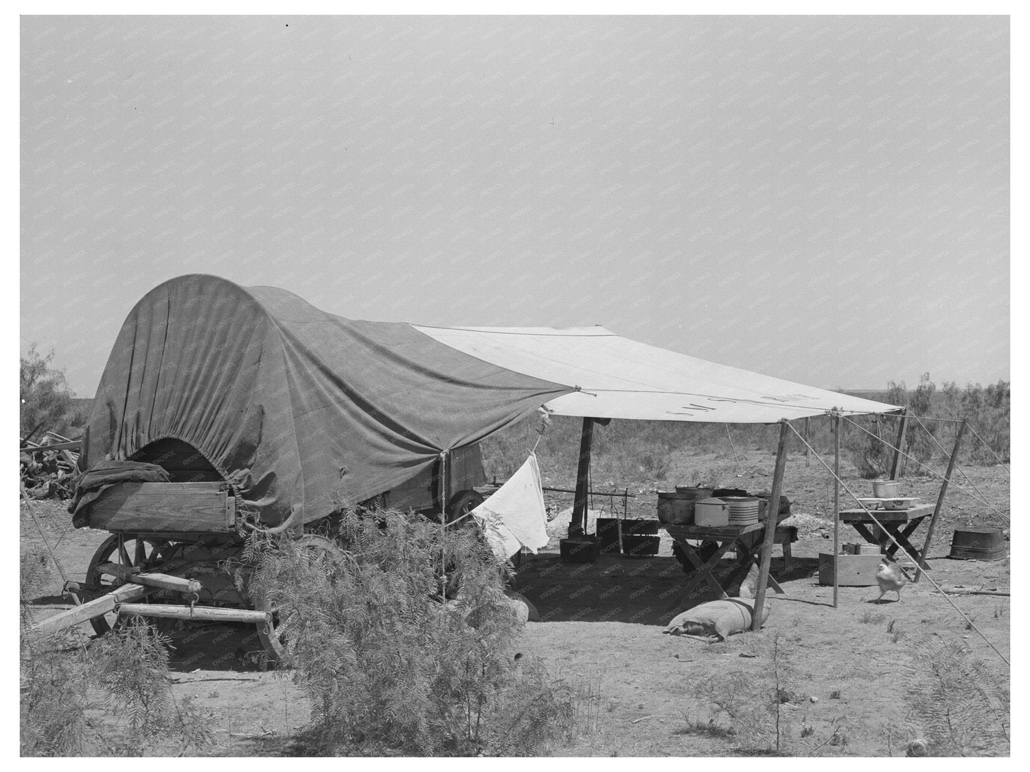 1939 Chuck Wagon at SMS Ranch Spur Texas