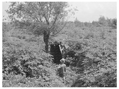 Young Boy by Privy Near Arkansas River June 1939