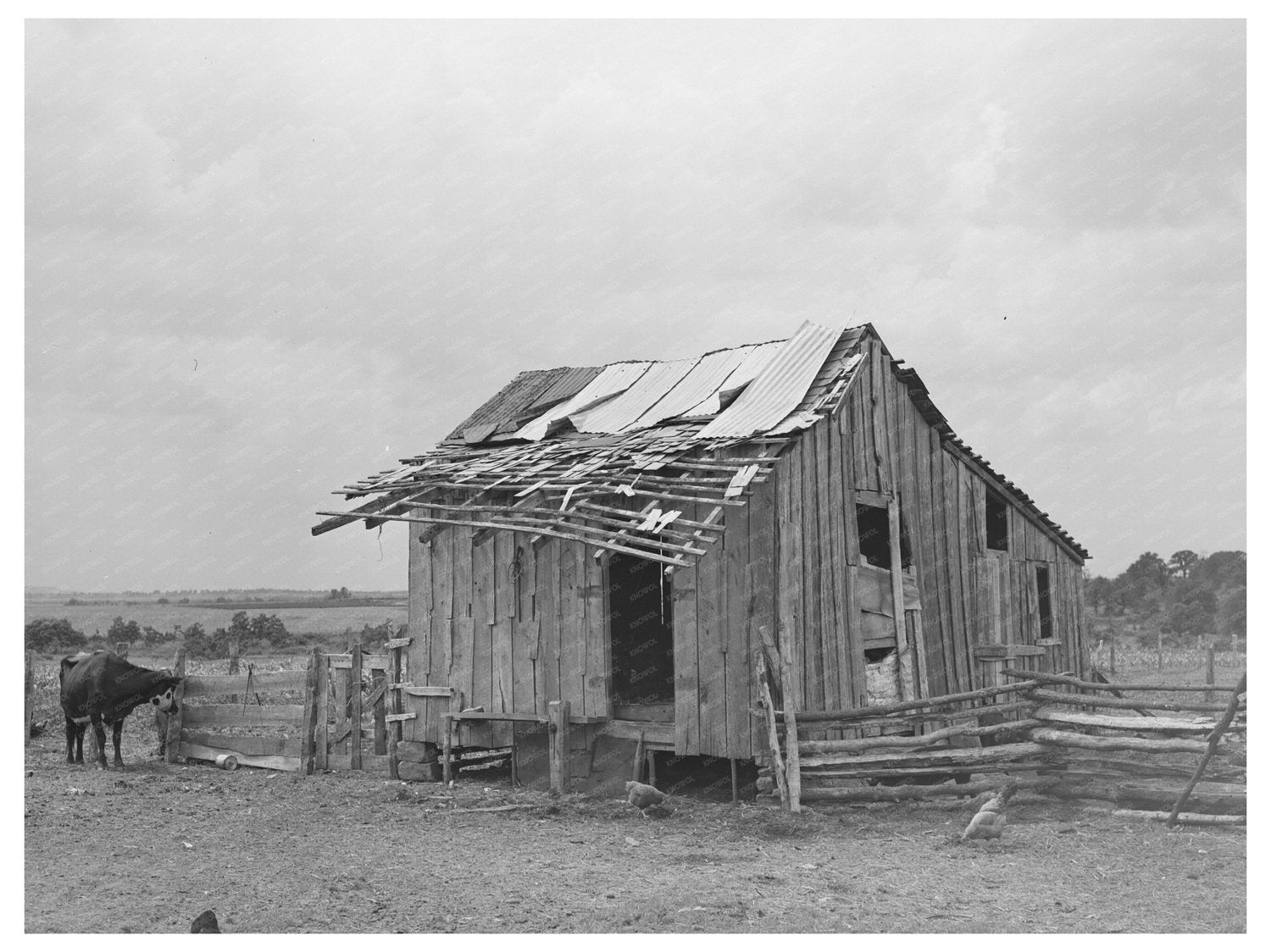 Tenant Farmers Barn Warner Oklahoma June 1939