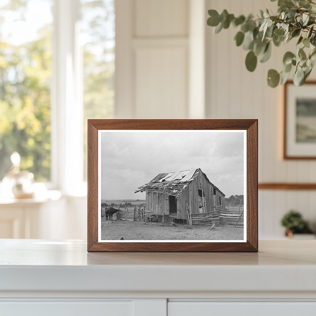 Tenant Farmers Barn Warner Oklahoma June 1939