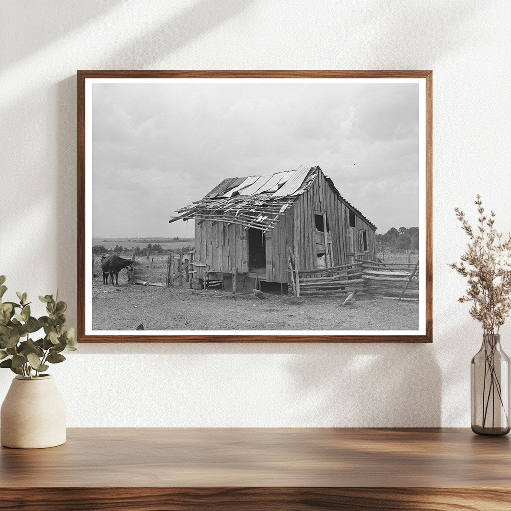 Tenant Farmers Barn Warner Oklahoma June 1939