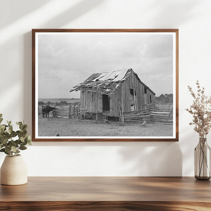 Tenant Farmers Barn Warner Oklahoma June 1939